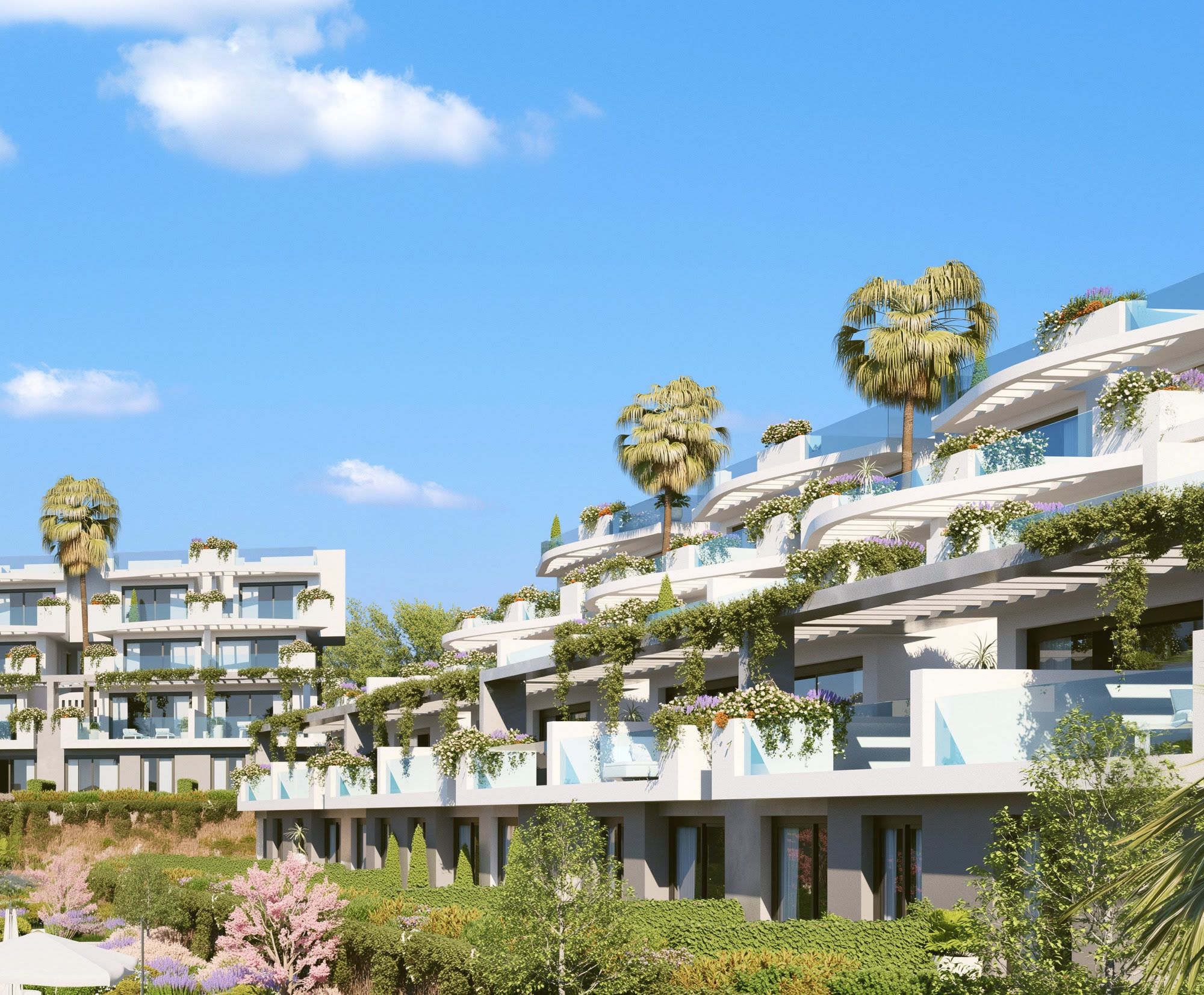 Infinity-edge pool surrounded by landscaped gardens