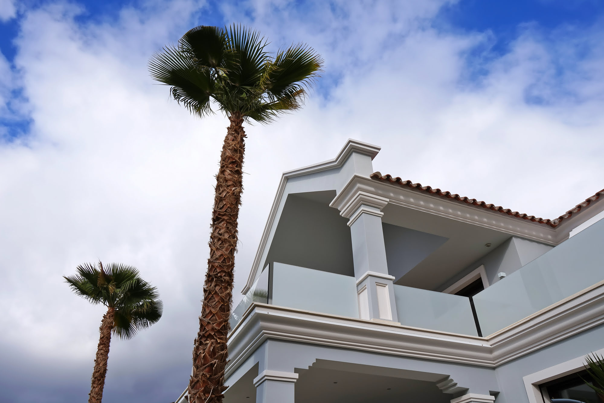 Upper terrace with views of palm trees and mountain sky